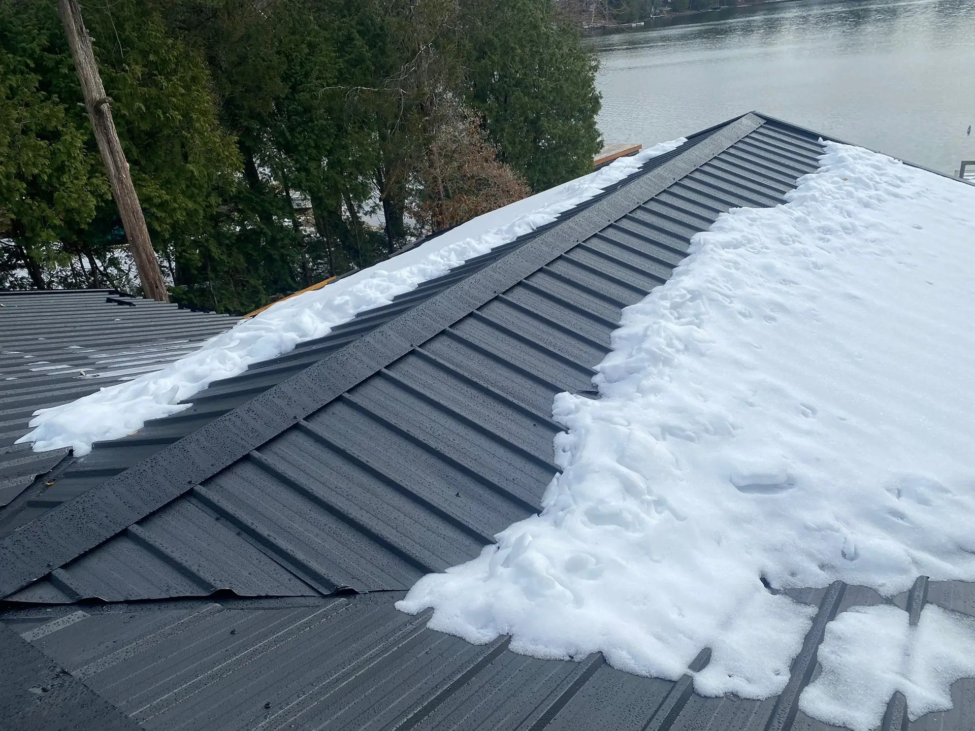 ag_panel_4
