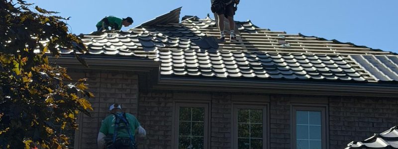 WhatsApp Image 2025-10-03 at 11.35.41 AM